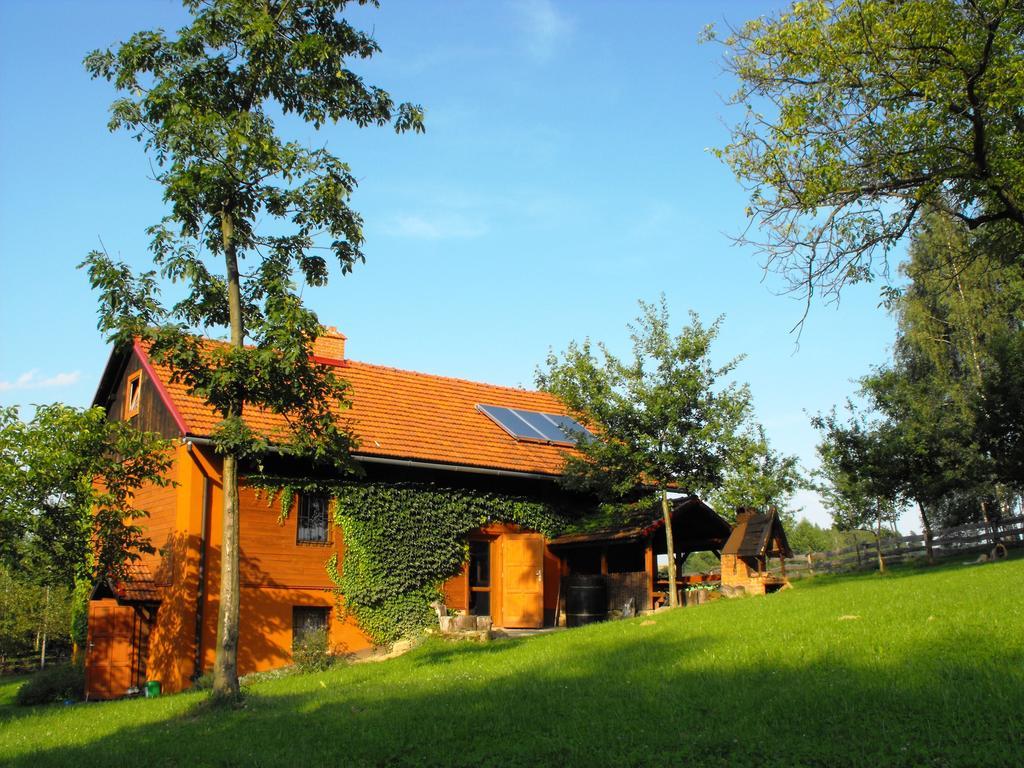 Agroturystyka Zacisze Czarna Owca Brzezanka Exterior foto