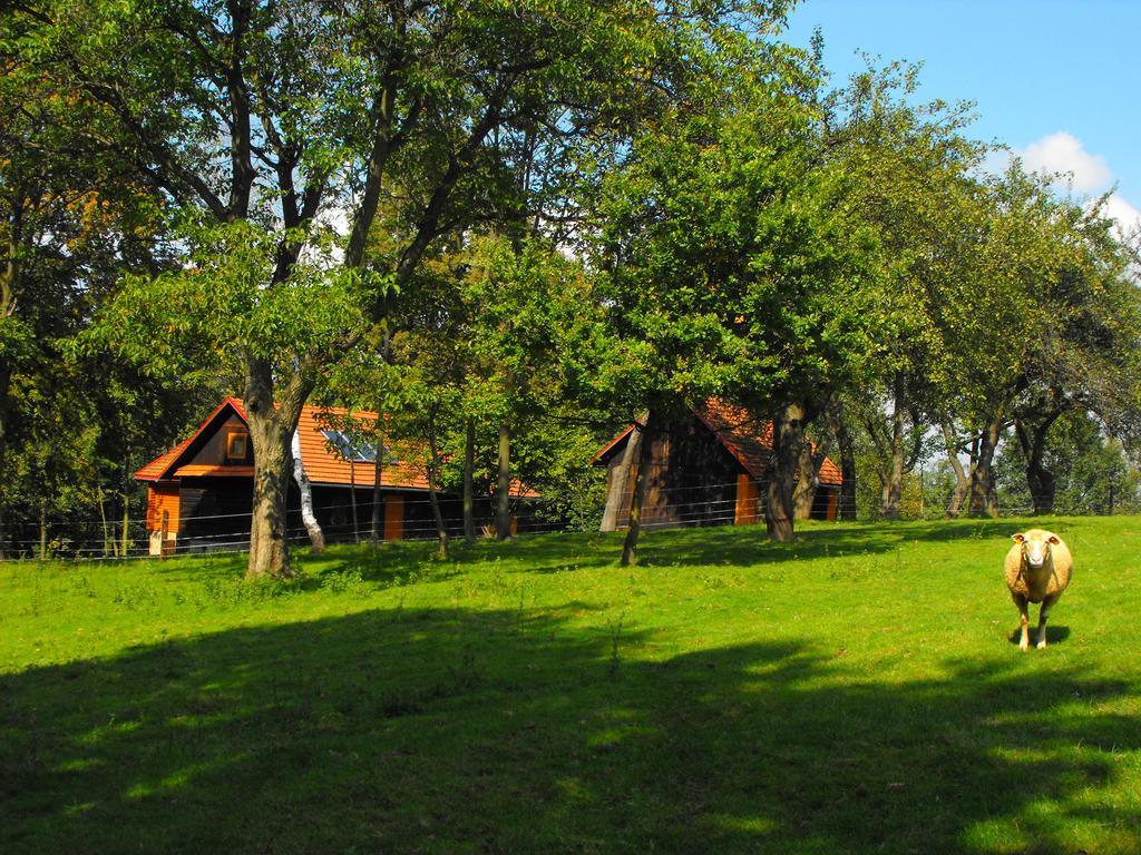 Agroturystyka Zacisze Czarna Owca Brzezanka Exterior foto