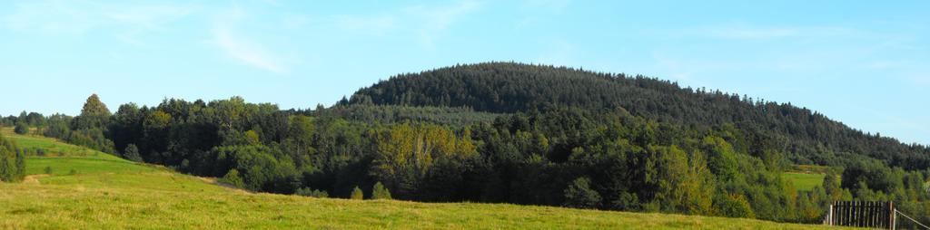 Agroturystyka Zacisze Czarna Owca Brzezanka Exterior foto