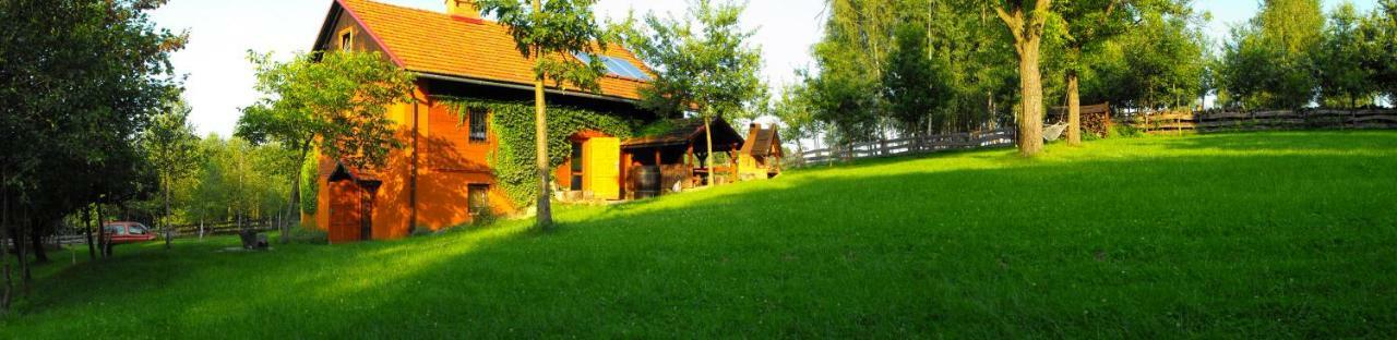 Agroturystyka Zacisze Czarna Owca Brzezanka Exterior foto
