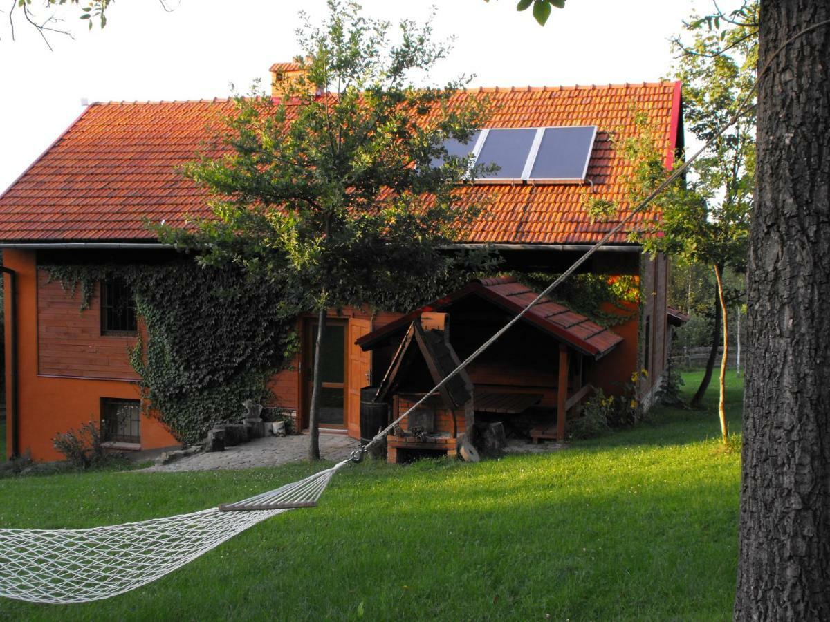 Agroturystyka Zacisze Czarna Owca Brzezanka Exterior foto